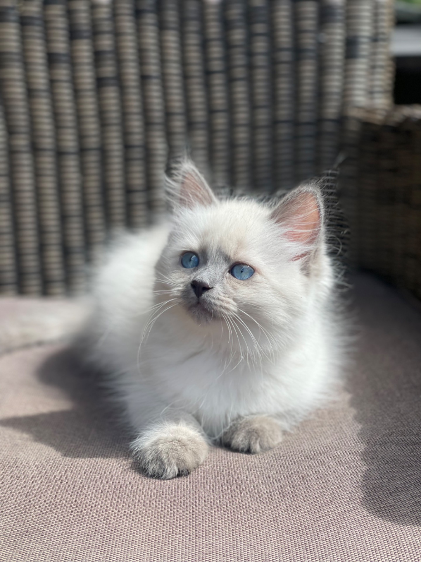 Elsa från E-kullen💕